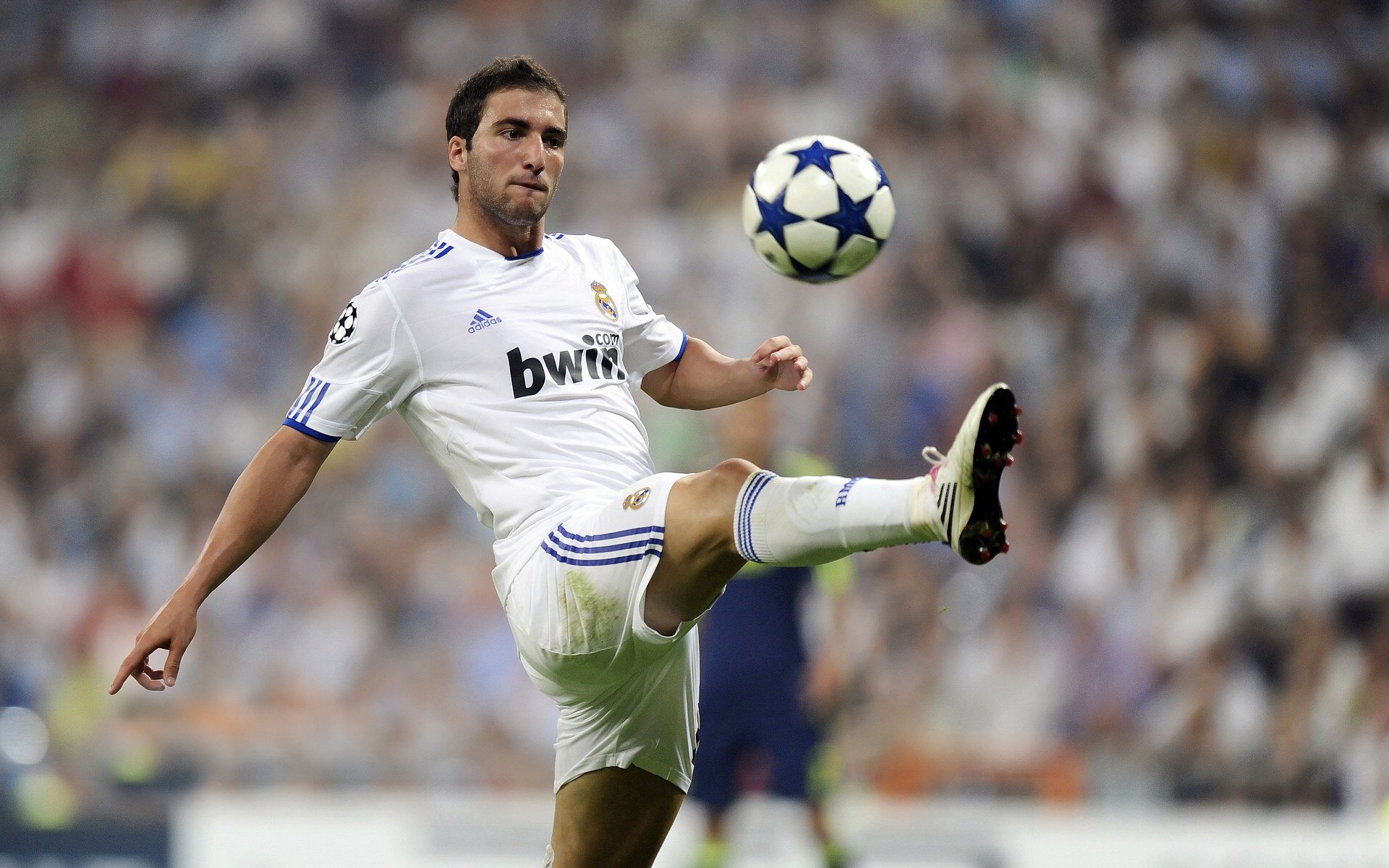 开云体育-葡萄牙体育新赛季训练营开营，葡萄牙队训练