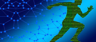 开云下载-高校定向越野运动进入课程体系，定向越野课程简介